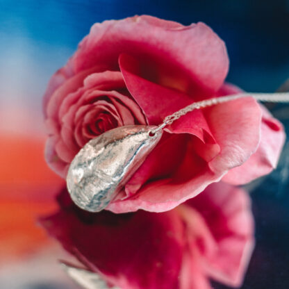 Porthgwarra Mussel Shell Necklace - Image 5