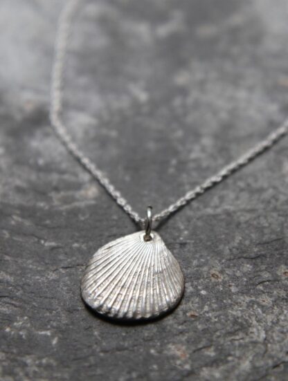 Real Striped Seashell Necklace, Wire Wrapped Shell Pendant, Beach Wedding  Jewelry, Smooth Florida Shell Pendant, Tropical Jewelry. - Etsy UK in 2024  | Seashell necklace, Seashell jewelry, Seashell pendants