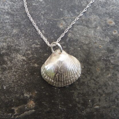 Porthchapel Cockle Shell Necklace