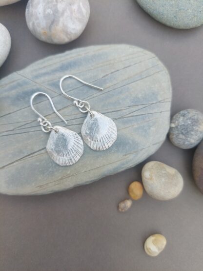 Scallop Shell Earrings