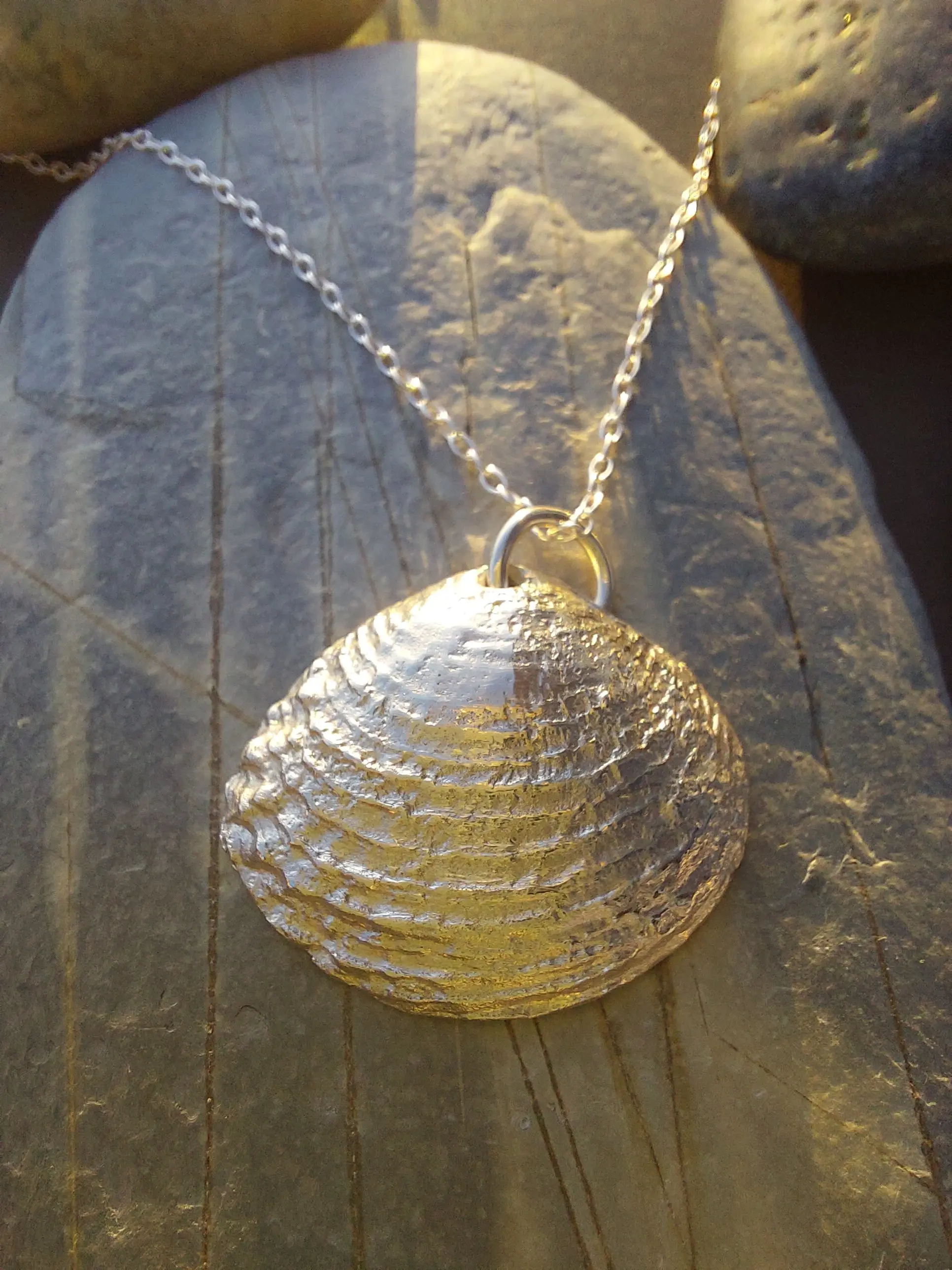 Venus Clam Shell Necklace Natural Silver Cornish Jewellery